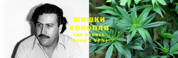 PSILOCYBIN Баксан