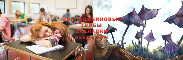 бошки Арсеньев