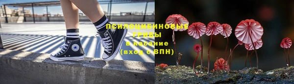 синтетический гашиш Алексин