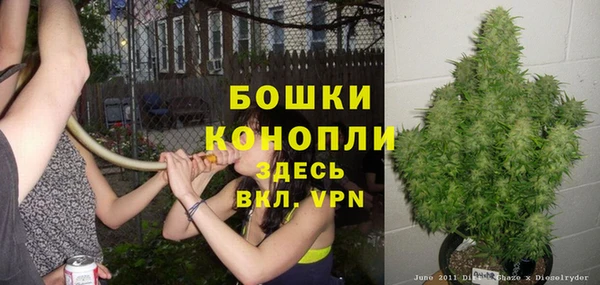 бошки Арсеньев