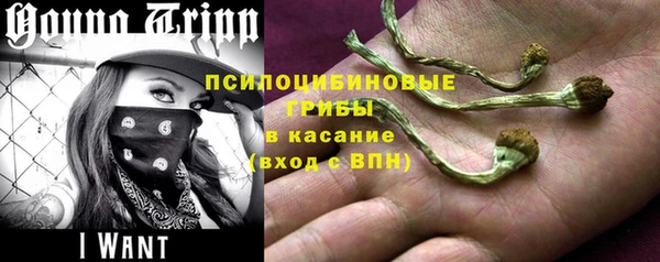 бошки Арсеньев