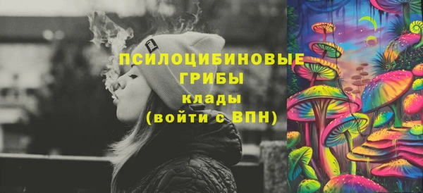 бошки Арсеньев