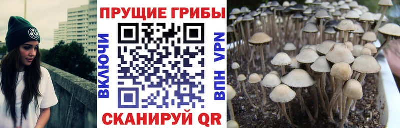 МЕГА ONION Балашов Галлюциногенные грибы мухоморы