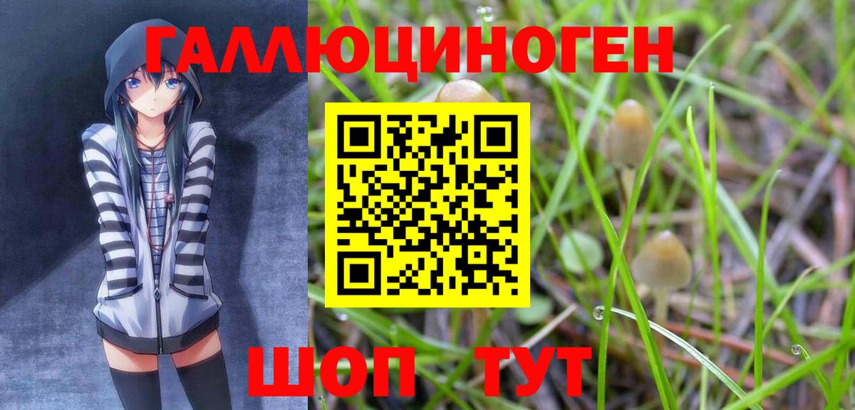 Галлюциногенные грибы мухоморы Балашов