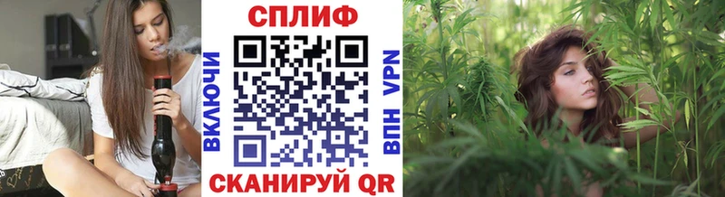 Канабис ГИДРОПОН  Балашов 